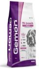 GEMON ALL BREEDS ADULT maiale/ris kg. 3x4