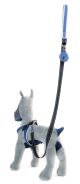 ZOE LIGHT COMFORT BLAU LEINE