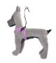 ZOE EASY HARNESS GRÖSSE 2 WISTERIA